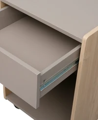 Rollbox Odys Wood 2