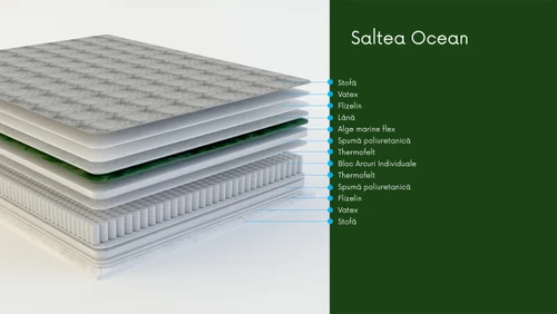 Saltea Ocean