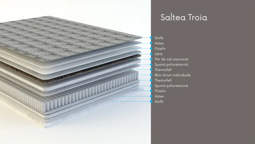 Saltea Troia 60*120