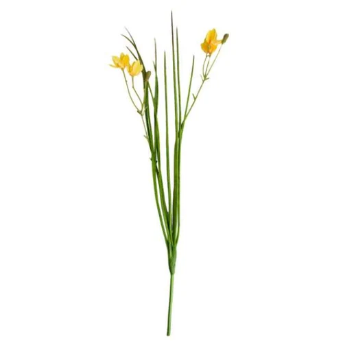 Floare decorativa Iris~Galben