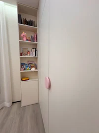 Pink Fairy 3
